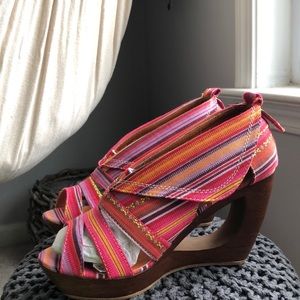 RARE BUCCO CAPENSIS FUCHSIA WEDGES